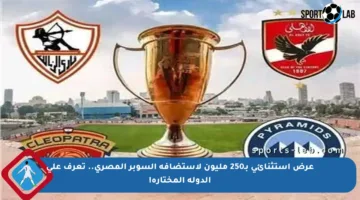 عرض استثنائي بـ250 مليون لاستضافة السوبر المصري.. تعرف على الدولة المختارة!